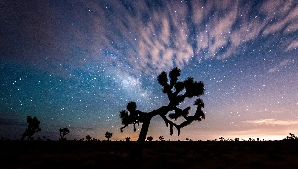 Joshua Tree National Park