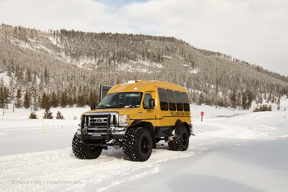 best time to visit yellowstone