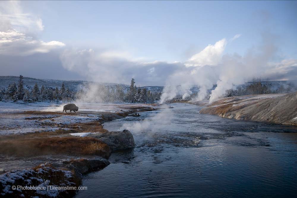 best time to visit yellowstone