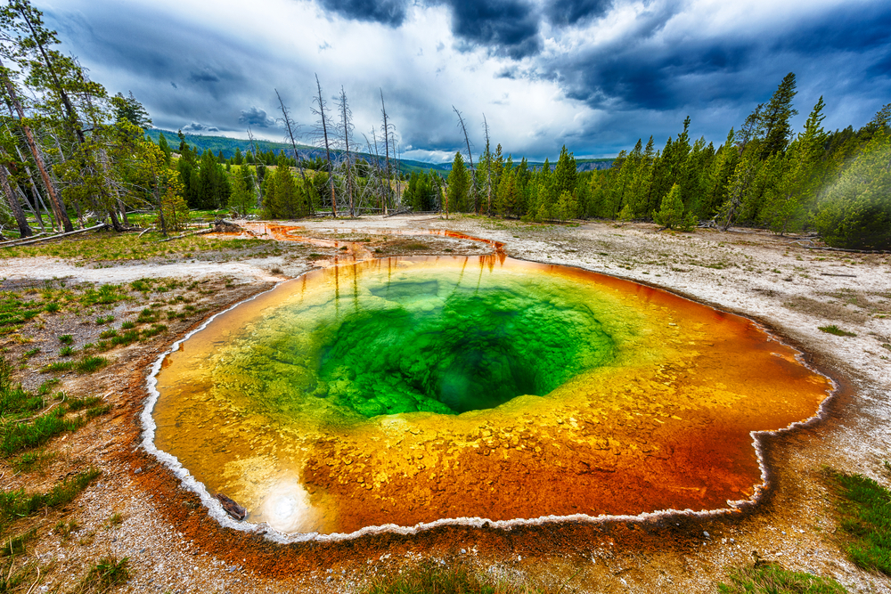 yellowstone