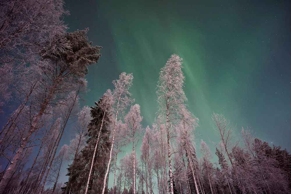 best place to see northern lights in usa