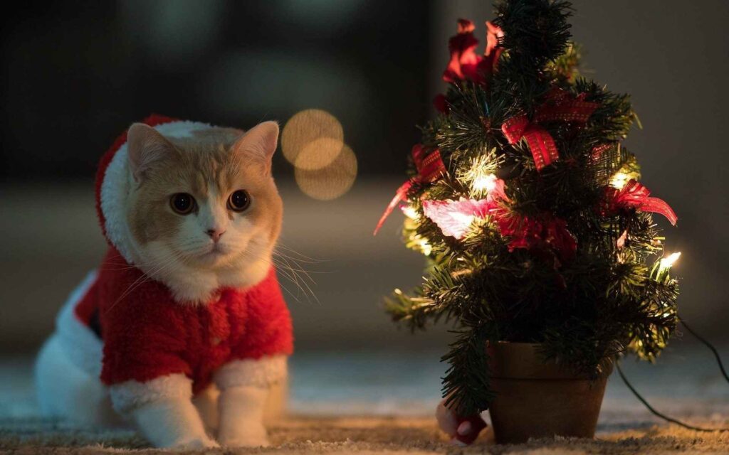 Cute Christmas Wallpaper